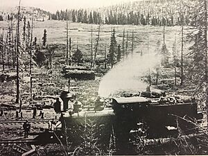 D&RG 406 (D&RG 346)(C-19), Marshall Pass, summer 1881