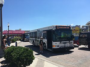 DART First State bus 314 on Rehoboth Avenue at boardwalk