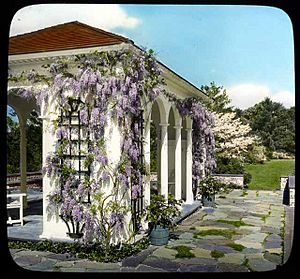 Davis Garden, 1930