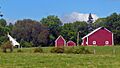 Dill Farm, Shawangunk, NY