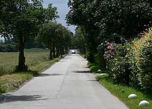 Driveway to Ragdale Hall Health Hydro and Thermal Spa - geograph.org.uk - 883376