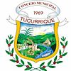 Official seal of Tucurrique