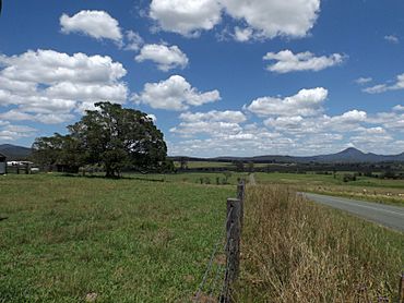 Fields and road at Allenview, Queensland.jpg