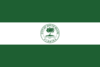 Flag of South Miami, Florida