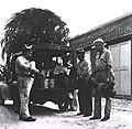 Fumigating and Disinfecting Team New Orleans 1939 a019946 Crop