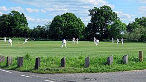 Hatfield Heath CC v. Netteswell CC on Hatfield Heath village green, Essex, England 01