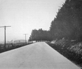 Highway 6 south of Guelph, 1921