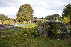 Histon Road 2