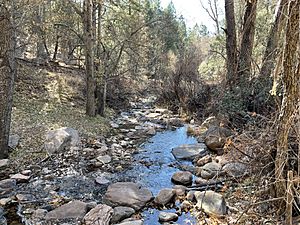 Horton Creek, Arizona in December