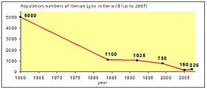 Iberian Linx Population in the wild