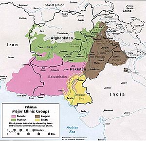 Major ethnic groups of Pakistan in 1980 borders removed