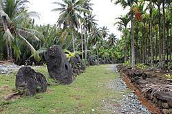 Malal of Yorlap Kanifay Yap islands