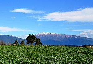 Montseny from Cardedeu