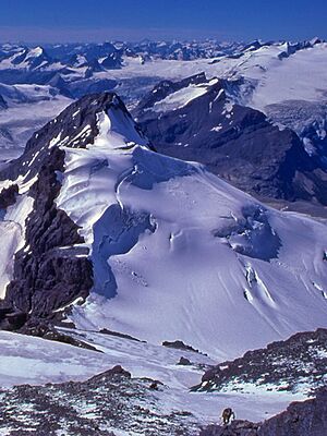 Mt. Forbes Buttress and 2 US Climbers