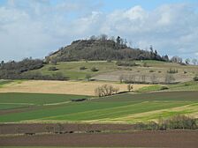 NSG 1634031 Wartberg bei Kirchberg 2022-02-17