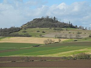 NSG 1634031 Wartberg bei Kirchberg 2022-02-17