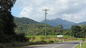 On Pine Creek Yarrabah Road looking south-east, East Trinity, 2018 02