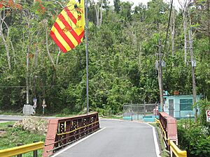 PR-155 Puente Colorao, Morovis, Puerto Rico
