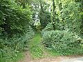 Path to Ancient Fort-Camp - geograph.org.uk - 205586