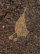 Petroglyph16