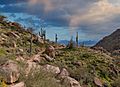 Pinnacle Peak Hiking Trail In Scottsdale, AZ