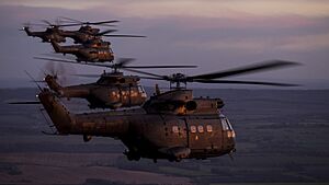 RAF Puma helicopters in formation