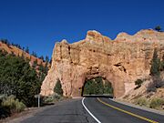 RedCanyonScenicByWay