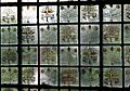 Red House window detail