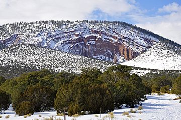 Red Mountain, Arizona.jpg