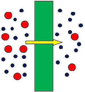 Schematic size