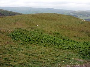 Scowther Knowe from Big Law - geograph.org.uk - 1375100