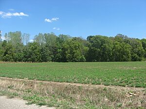 Stoner Site fields