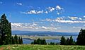 Tamarack view