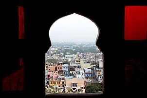 The View from the history