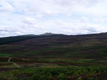 View to Meall Tairneachan - geograph.org.uk - 1439480.jpg