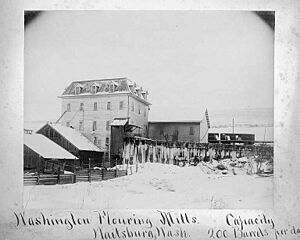 Washington Flouring Mills, Waitsburg, Washington, ca 1893 (WASTATE 586)