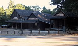 Woodside Store, 471 Kings Mountain Rd., Woodside, CA 9-18-2011 5-31-47 PM