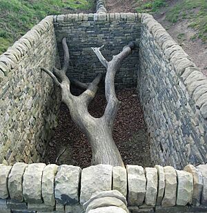 YSP goldsworthy 07-3