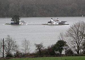 Ynys Gored Goch