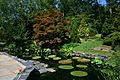 A Lilly pond and stoned walkway with various trees in the background