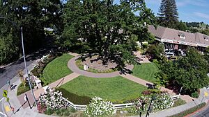 Aerial view of Andrew Young park
