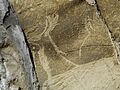 Altxerri cave - Antelope