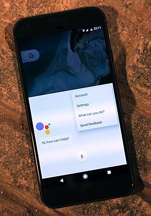 Android Assistant on the Google Pixel XL smartphone (29526761674)