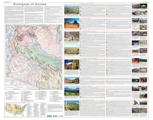 Arizona Level IV ecoregions.pdf