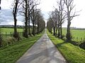 Avenue to Barrock Park - geograph.org.uk - 406144