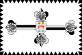 Bandera de Gallegos de Solmirón