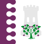 Flag of La Zarza de Pumareda