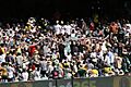 Beer cup stacking at the MCG
