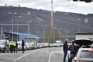 Berg a DNV - 49655647492