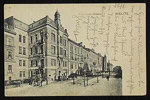 Bielitz - Franz Josef-Strasse. 1905 (69115276)
